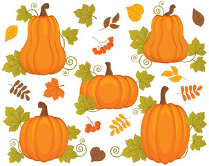 Vector Set with Pumpkins, Berries and Leaves. Vector Halloween and Thanksgiving Day. Pumpkin Vector Illustration. 