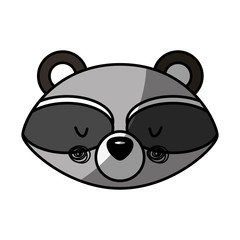Animal raccoon cartoon icon vector illustration design shadow 