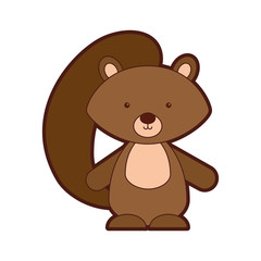 Animal squirrel cartoon icon vector illustration design graphic