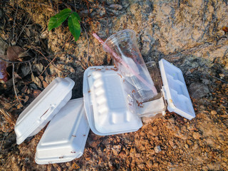 The ants on Styrofoam waste and Plastic glass on the ground