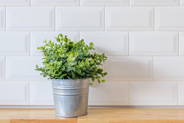 Beautiful houseplant with flowerpot on light wooden office table texture and white background captured by front view