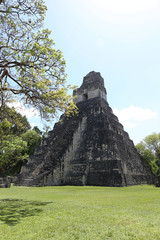 Tikal national park near Flores in Guatemala, jaguar temple is the famous pyramid in Tikal