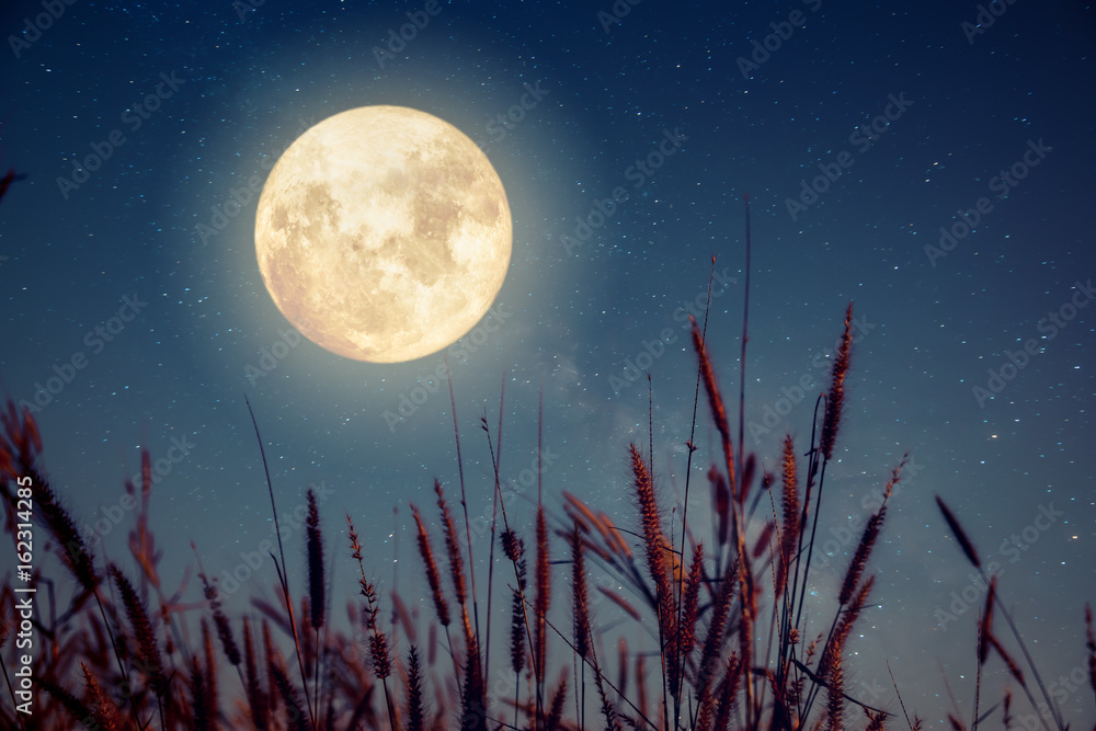 Wall mural beautiful autumn fantasy - maple tree in fall season and full moon with milky way star in night skie