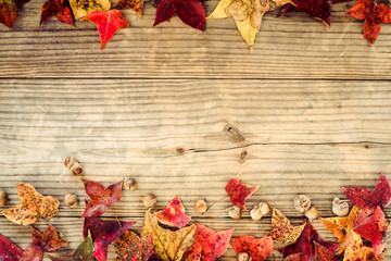 Beautiful maple leaves on vintage wooden background, border design. vintage color tone - concept of...