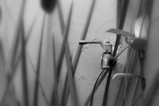 Faucet in the garden black and white photo