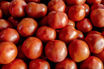 red tomatoes