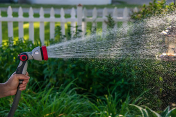 Hand holding spraying hose in the backyard garden