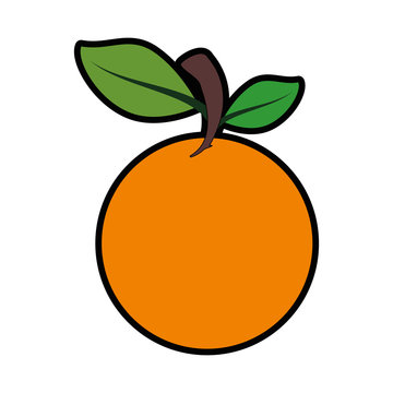 orange fruit icon over white background colorful design vector illustration