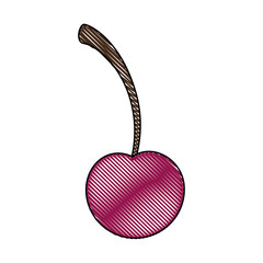 cherry fruit icon over white background colorful design vector illustration