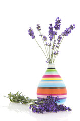 Bouquet Lavender in vase