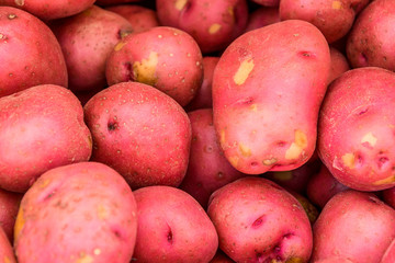 Red Potatoes