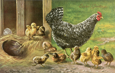 Easter - Hen - Chicks. Date: circa 1912