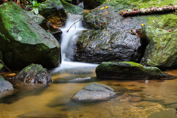 Naklejka na ściany i meble Small stream in the Atlantic forest in the middle of Rio de Janeiro, Brazil
