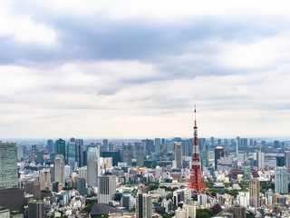 Fototapeta na wymiar Tokyo city skyline with Tokyo Tower