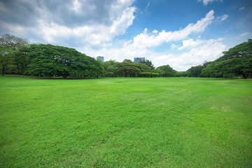 Fototapeta na wymiar Green grass field in park at city center