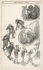 Science - Evolution - Ascent. Date: 1891