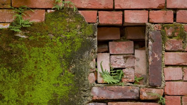 Red brick wall with moss in Bopiliao Historical Block, a historical street in Taipei's old Wanhua District, Taiwan. The red brick facade is a predominant throughout the street.