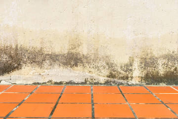 White wall and Mildewed walls