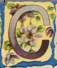 Decorative Flower Alphabet - C. Date: 1890s