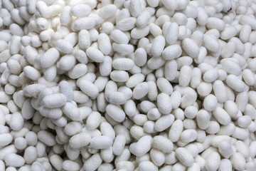 White silk cocoons on bamboo basket, Fibers made from natural clothing