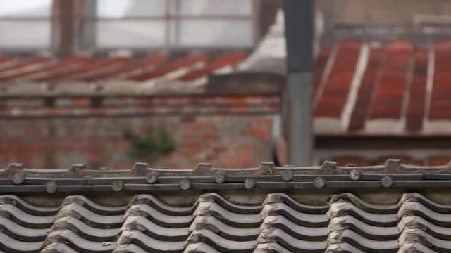 Roofs of the old houses and buildings in Bopiliao Historical Block, a historical street in Taipei's old Wanhua District, Taiwan.