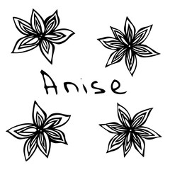 Stars of Anise. Vector Illustration Isolated On a White Background. Realistic Hand Drawn Doodle Style Sketch.