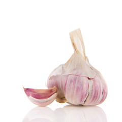 Fresh garlic bulb