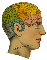 Phrenological head. Date: circa 1870 - obrazy, fototapety, plakaty