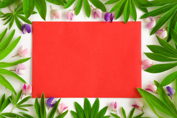 Lupine flowers with green leaves with red blank greeting card on the white background. Jungle style. In colorful summer style.