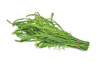 green leaves, senegalia pennata or or cha om isolated on white background