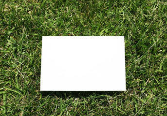 The white paper on the green grass