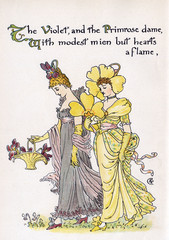 Fototapeta premium Violet and Primrose. Date: 1895