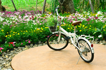 The Vintage Bicycle with colorful flowers on summer time in the garden