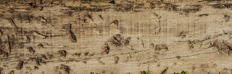 wood texture close old dry board