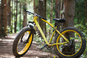 Fototapeta na wymiar Yellow bicycle fatbike in a coniferous forest