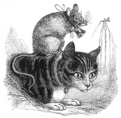 Belling the Cat