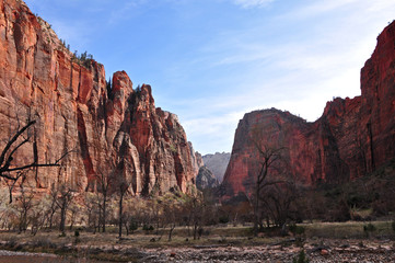 Rock formations with trees in Zion National Park