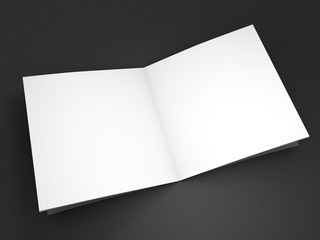 Magazine, book, booklet or brochure mockup. 3D rendering