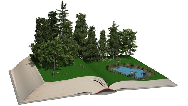 open boock with wonderful forest with a smal lake on the pages isolated on white
