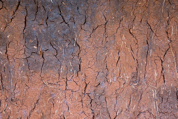 Wall of a house in red clay, earth , great texture background, poverty, developing or tropical country concept.