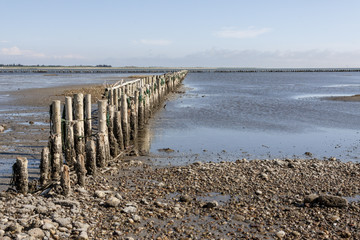 Wadden Sea (UNESCO) National Park, near Mando island - Denmark, Europe