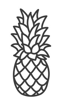 Cute Handdrawn Pineapple. Trendy Tropical Element. Vector.