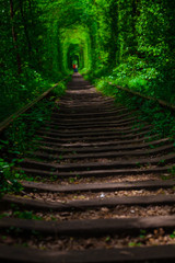 a railway in the spring forest tunnel of love