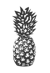  Stamped Pineapple. Vector.
