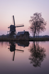Mill and Tree at Woerdense Verlaat