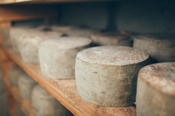 cheese production