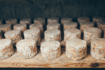 cheese production