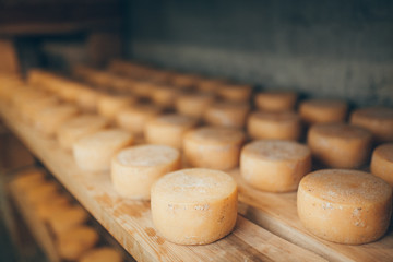 Fototapeta na wymiar cheese production