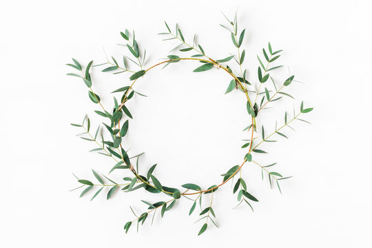 Eucalyptus leaves on white background. Wreath made of eucalyptus branches. Flat lay, top view, copy space