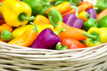 Colorful fresh harvested bell peppers, selective focus